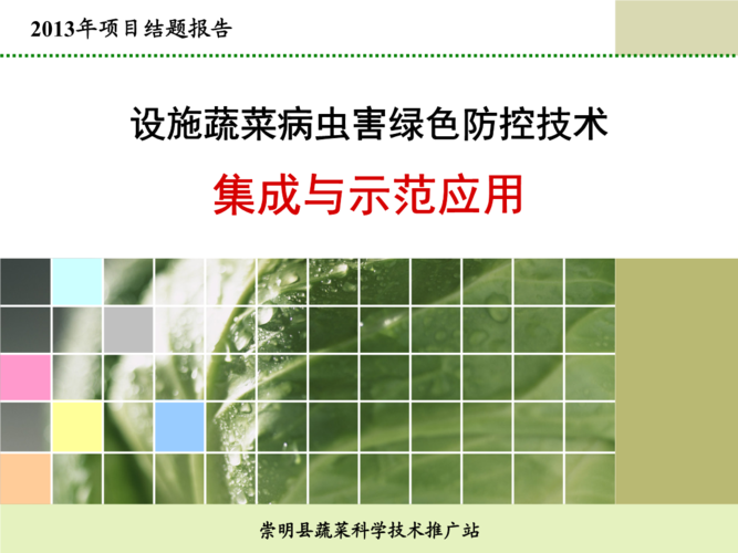 设施蔬菜病虫害绿色防控的技术集成与示范应用ppt30页